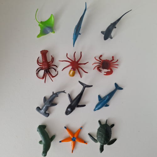 Zeedieren