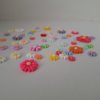 Zonnebloemen 50 stuks